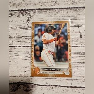 2022 Topps Baseball # 659 LaMonte Wade Jr. Camo  /25